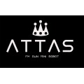 ATTAS  All Models